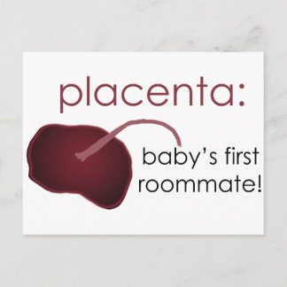 Carte Postale placenta, baby's first roommate