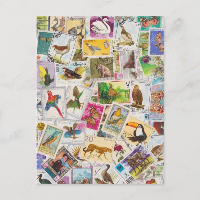 Carte Postale Placer le tampon ici (Devant)