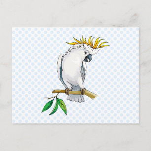 Carte Postale Placido Parrot