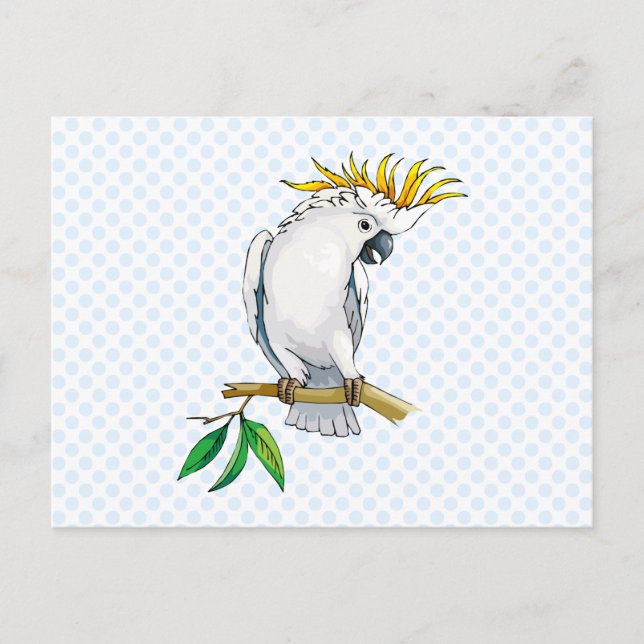 Carte Postale Placido Parrot (Devant)