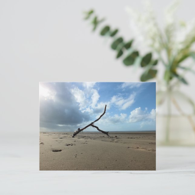 CARTE POSTALE PLAGE (Debout devant)