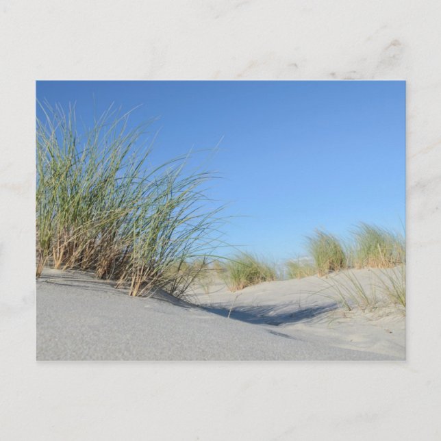 Carte Postale Plage (Devant)