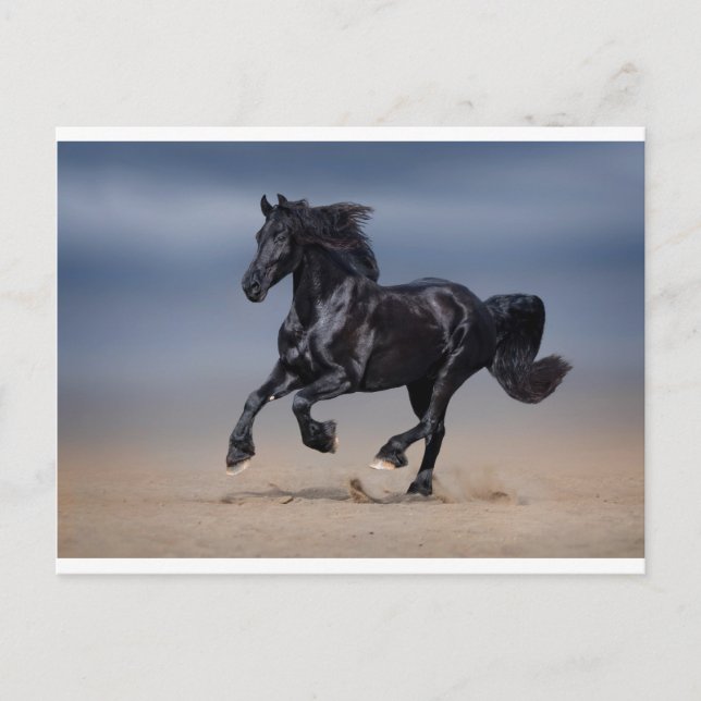 Carte Postale Plage (Devant)