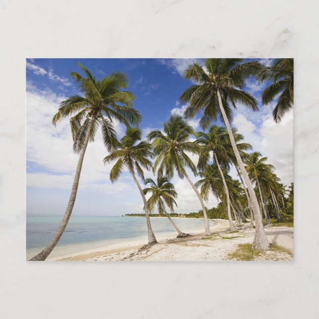 Carte Postale Plage à Punta Cana (Devant)