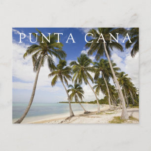 Carte Postale Plage à Punta Cana   Merci