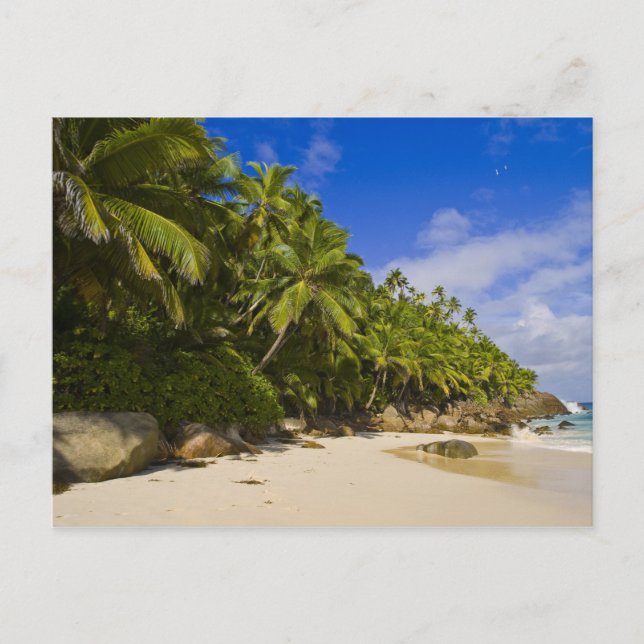 Carte Postale Plage Anse Victorin 3 (Devant)