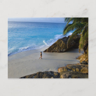 Carte Postale Plage Ansi Victorin, île de Fregate