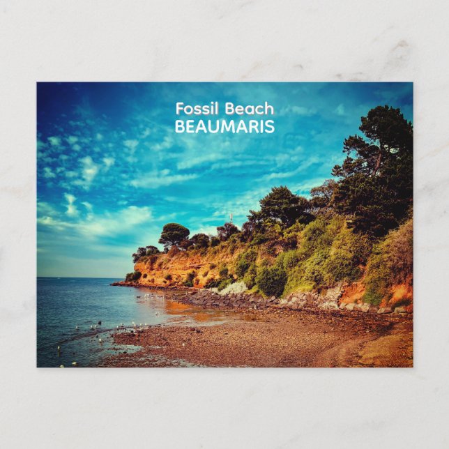 Carte Postale Plage aux fossiles, Beaumaris (Devant)