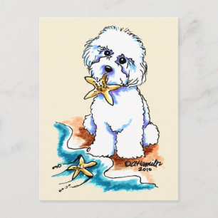 Carte Postale Plage Babe Bichon Frise