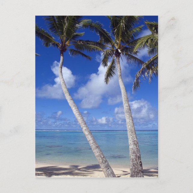 Carte Postale Plage bordée de palmiers Îles Cook (Devant)