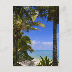 Carte Postale Plage bordée de palmiers Îles Cook 2