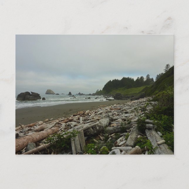 Carte Postale Plage cachée I du parc national de Redwood (Devant)