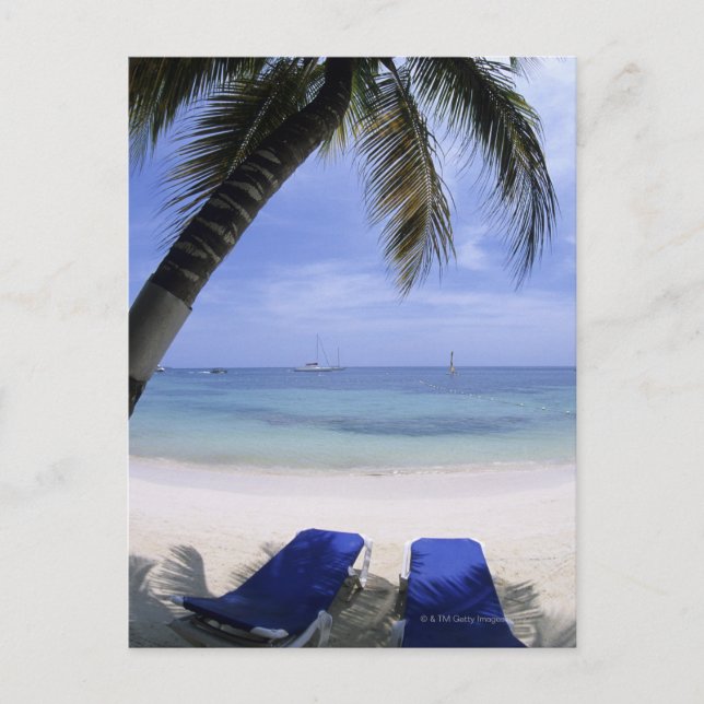 Carte Postale Plage, Chaise Longue, Palmier, Horizon Au-Dessus (Devant)