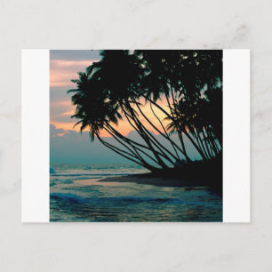 Carte Postale Plage Colombo Sri Lanka