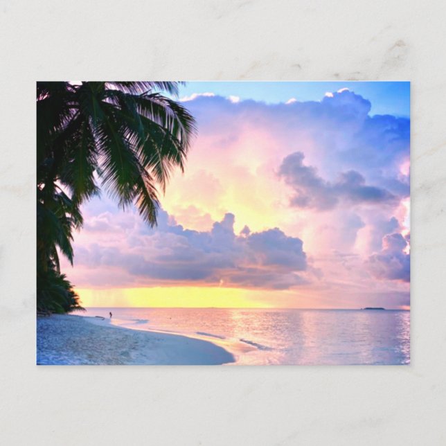 Carte Postale Plage Coucher de soleil océan sable palmier Maldiv (Devant)