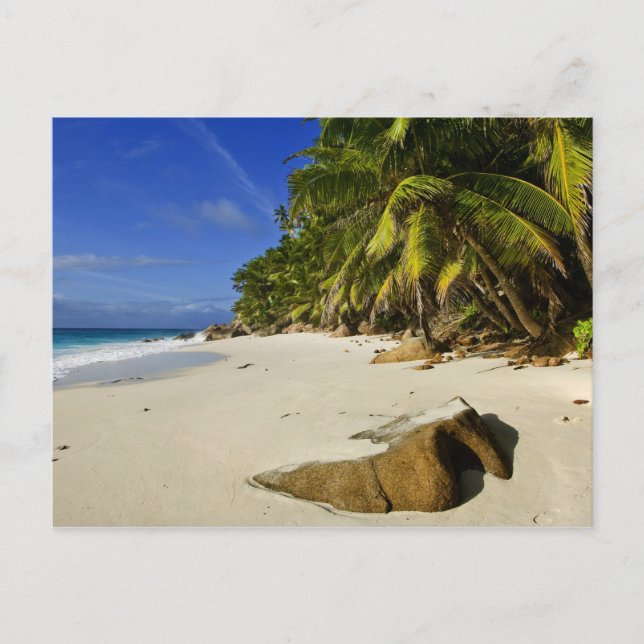 Carte Postale Plage d'Anse Victorin (Devant)