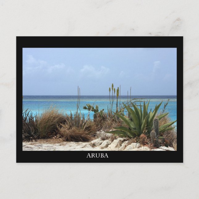 Carte Postale plage d'aruba (Devant)
