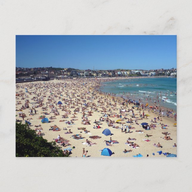 Carte Postale plage de bondi (Devant)
