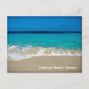 Carte Postale Plage de Cabbage