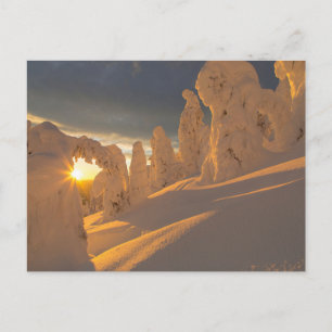 Carte Postale Plage de corégones   Corégone, Montana