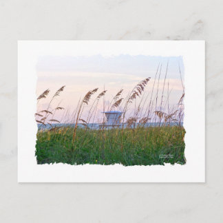 Carte Postale Plage de Floride coucher de soleil rose et violet