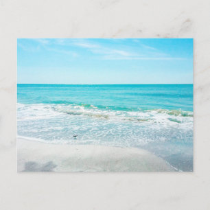 Carte Postale Plage de Floride Tropical Sable Ocean Waves Sandpi