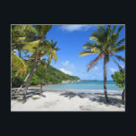 Carte Postale plage de guadeloupe<br><div class="desc">plage de guadeloupe</div>