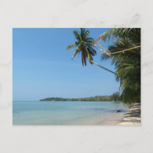 Carte Postale Plage de Koh Samui 3
