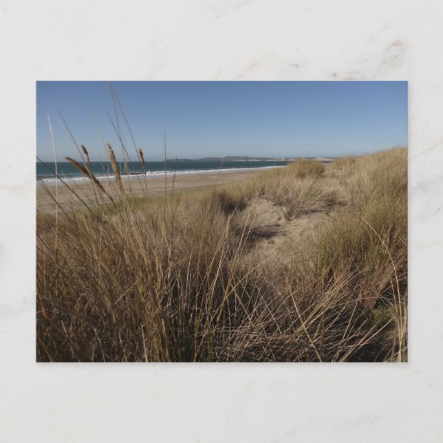 Carte Postale Plage de Limantour à Point Reyes II (Devant)