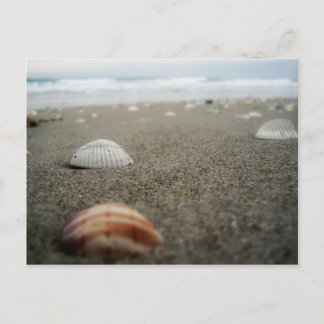 Carte Postale Plage de Melbourne, Floride