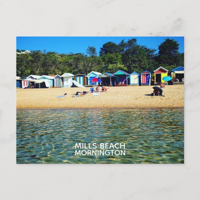 Carte Postale Plage de Mills, Mornington (Devant)