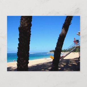 Carte Postale Plage de North Shore Oahu Hawaï avec planche de su