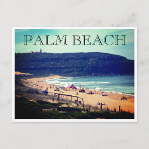Carte Postale plage de palmiers été