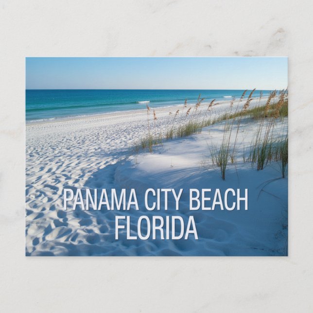 Carte Postale Plage de Panama City Floride (Devant)