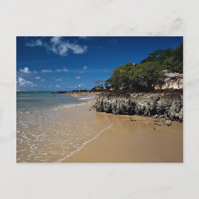 Carte Postale Plage de Ponta Negra, Natal, Brésil (Devant)