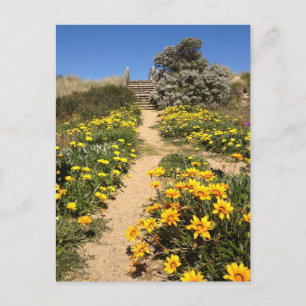 Carte Postale Plage de printemps à 90 miles (90,1 km), Australie