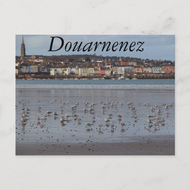 Carte Postale Plage de Ris à Douarnenez (Devant)