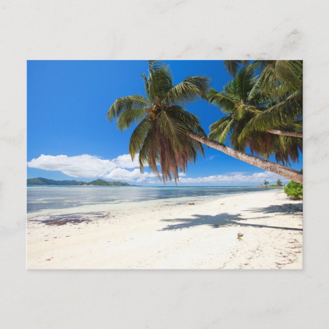 Carte Postale Plage de sable blanc (Devant)