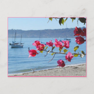Carte Postale plage de San Diego