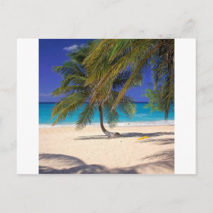 Carte Postale Plage de Seven Mile Grand Cayman