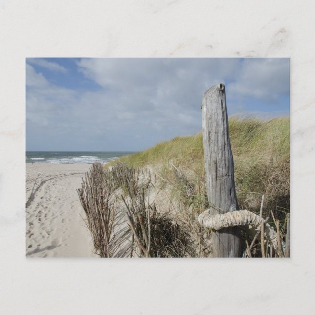 Carte Postale Plage de Sylt (Devant)