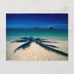 Carte Postale Plage de Virginie