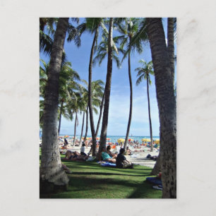 Carte Postale Plage de Waikiki