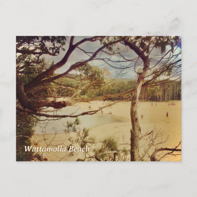 Carte Postale Plage de Wattamolla, NSW (Devant)