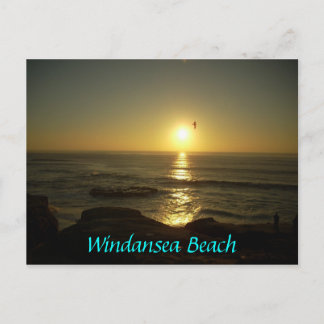 Carte Postale Plage de Windansea