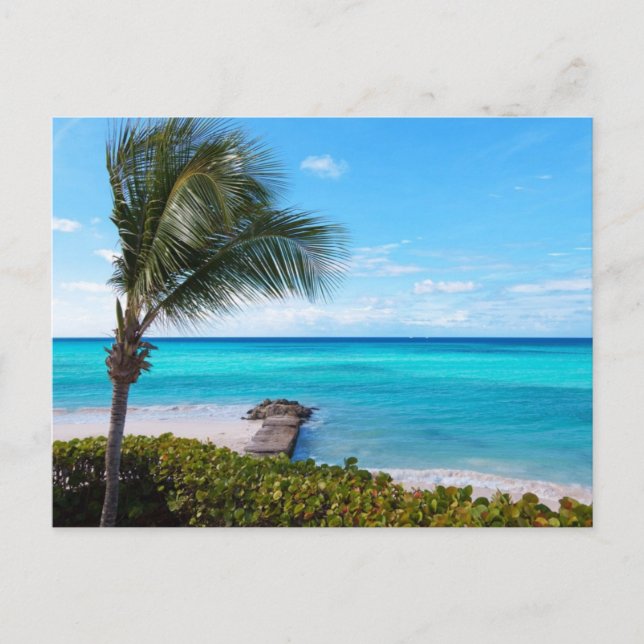 Carte Postale Plage des Caraïbes (Devant)