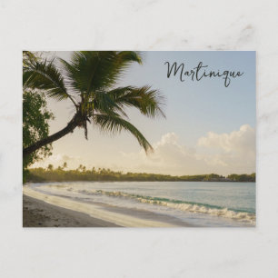 Carte Postale Plage des Salines Martinique Voyage de rêve
