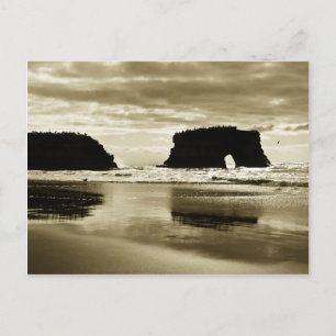 Carte Postale Plage d'état des ponts naturels