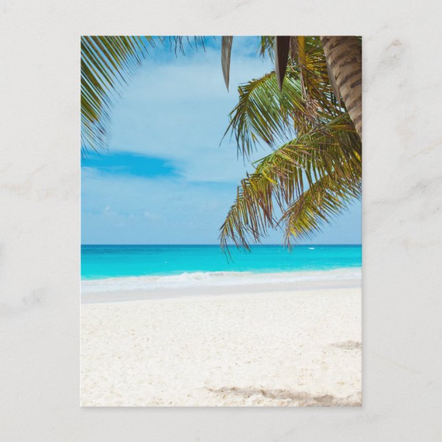 Carte Postale Plage du Paradis tropical (Devant)