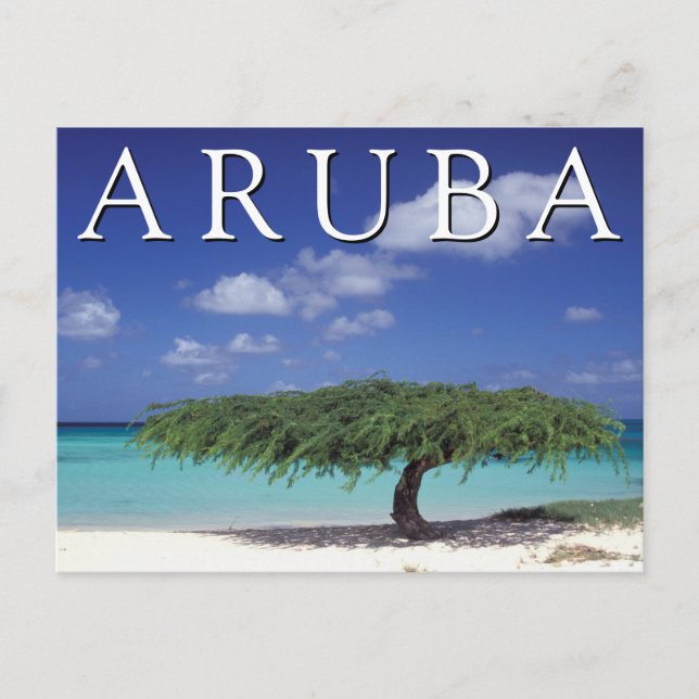 Carte Postale Plage Eagle | Caraïbes, Aruba (Devant)
